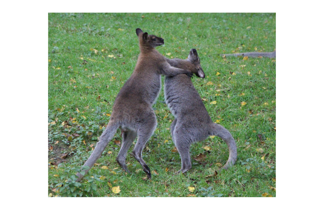 Transform Conflict into Collaboration