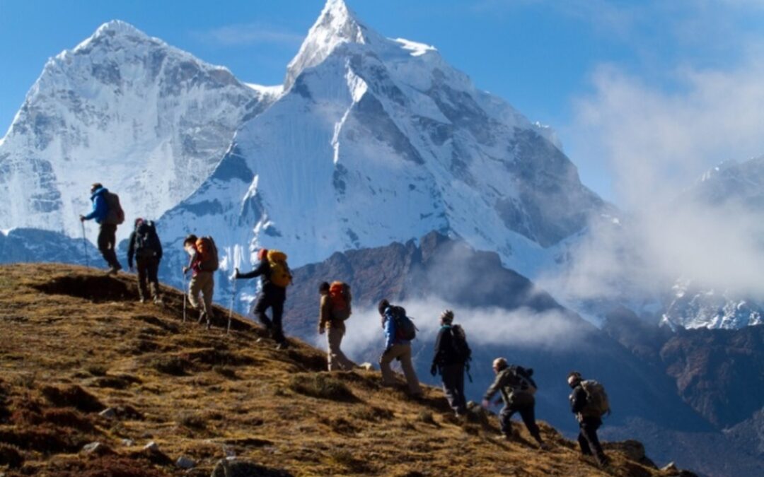 Newsletter 1 2025: Starting the New Year with your vision and goals
